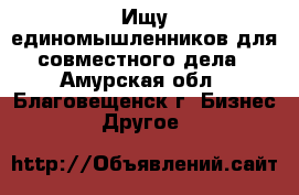 Ищу единомышленников для совместного дела - Амурская обл., Благовещенск г. Бизнес » Другое   